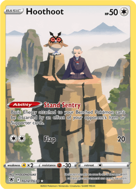 Trainer Gallery 12