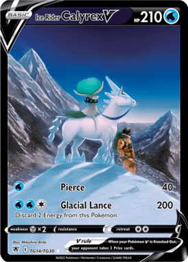 Trainer Gallery 14