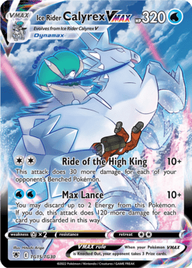 Trainer Gallery 15