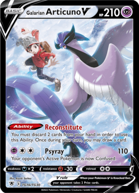 Trainer Gallery 16