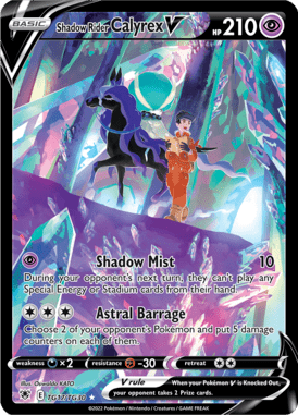 Trainer Gallery 17