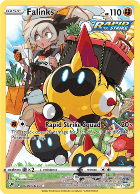 Trainer Gallery 7