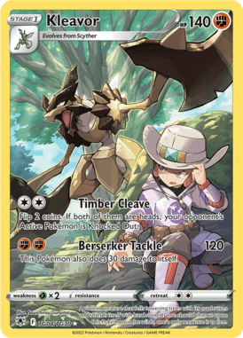 Trainer Gallery 8