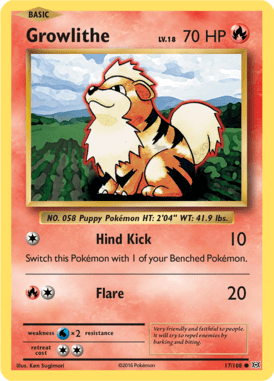 Evolutions 17
