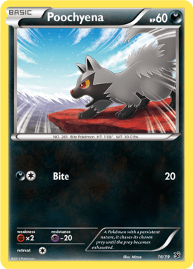 Kalos Starter Set 16