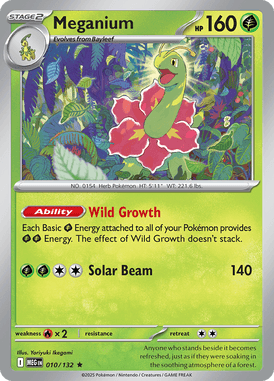Mega Evolution 010
