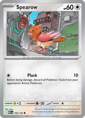Mega Evolution 102