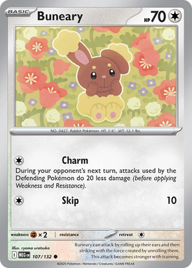 Mega Evolution 107