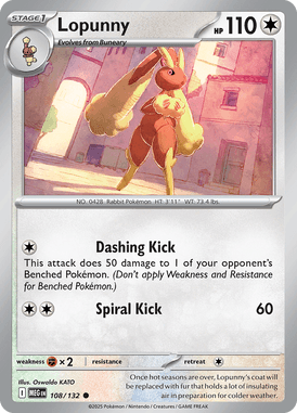 Mega Evolution 108