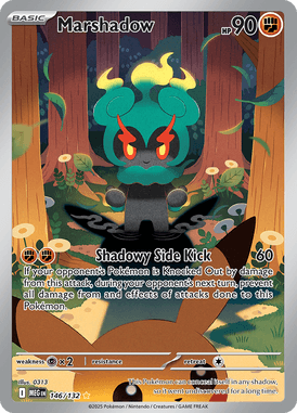 Mega Evolution 146
