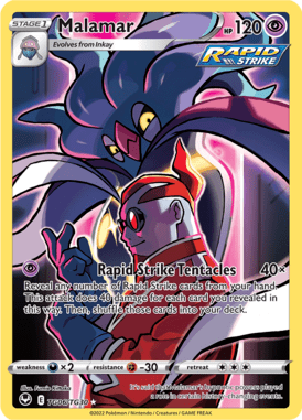 Trainer Gallery 6