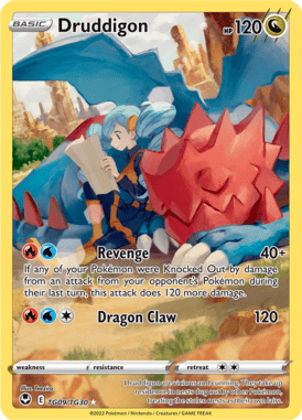 Trainer Gallery 9