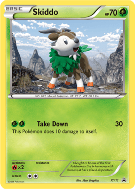 XY Promo 11