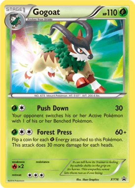 XY Promo 16