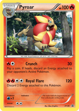 XY Promo 26