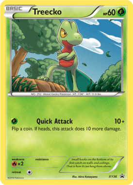 XY Promo 36