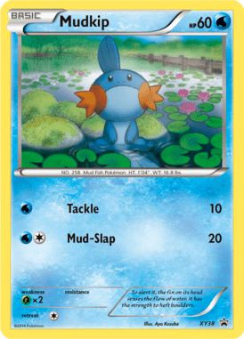 XY Promo 38