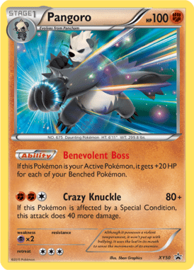 XY Promo 50