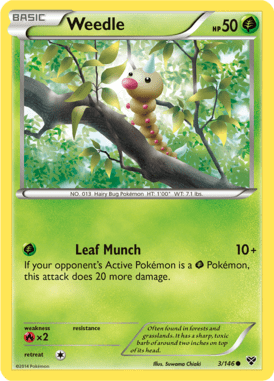 XY 3