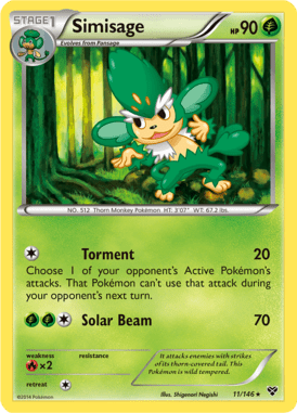 XY 11