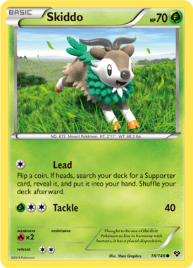 XY 18