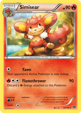 XY 23