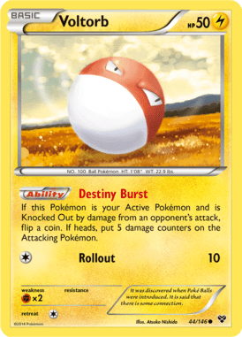 XY 44