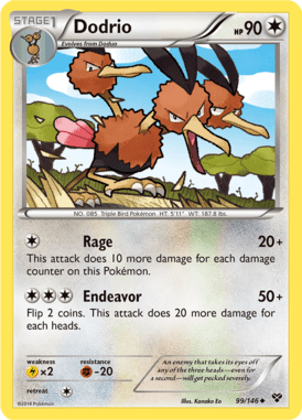 XY 99